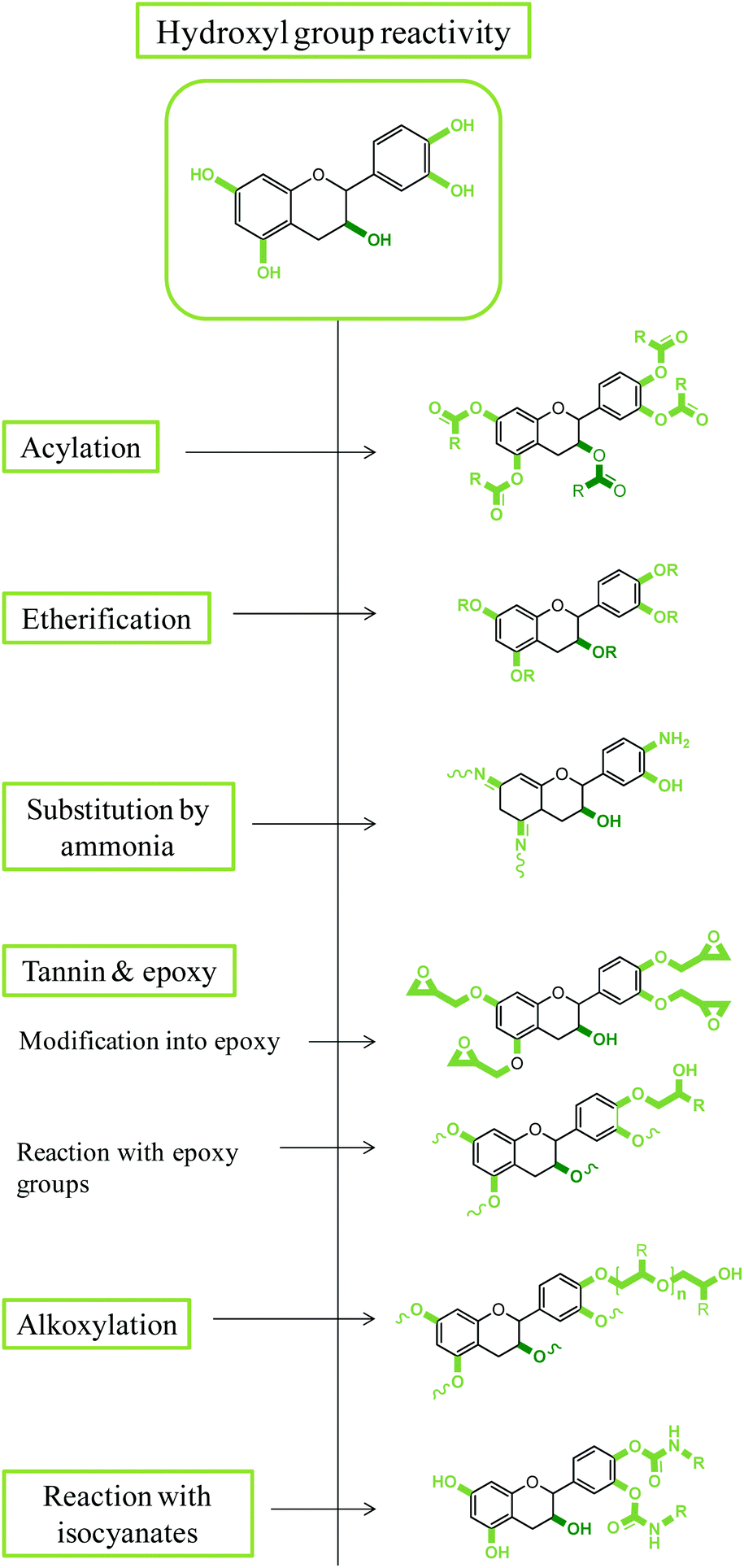 elaborate, chemical modification of tannins to elaborate aromatic biobased