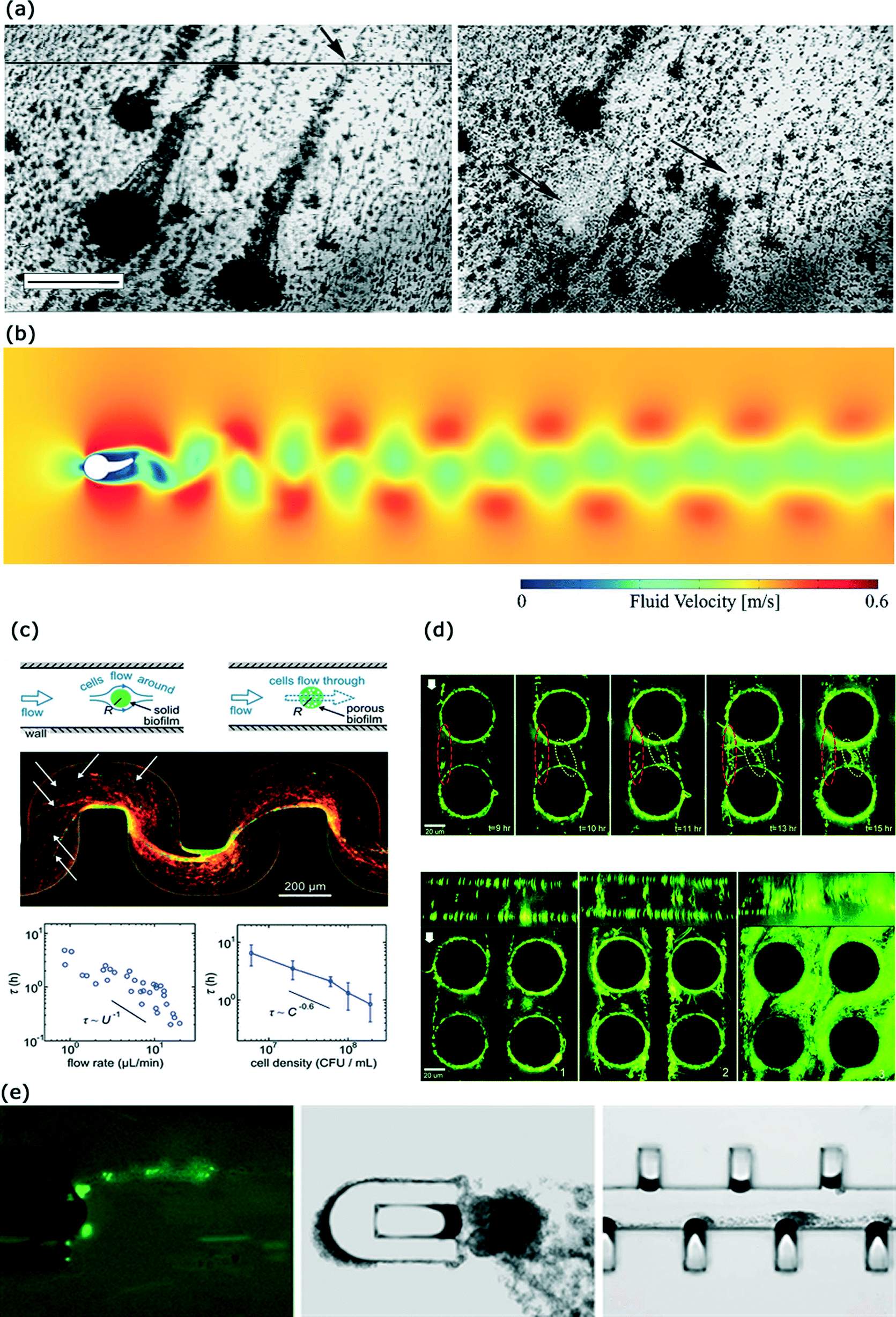 an overview of surface enhanced raman spectroscopy and its mechanism an overview of surface enhanced raman spectroscopy and its mechanism