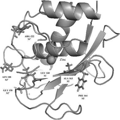 image file: c5mb00003c-f4.tif