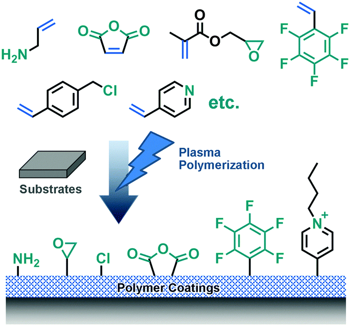 Universal polymer coatings and their representative biomedical