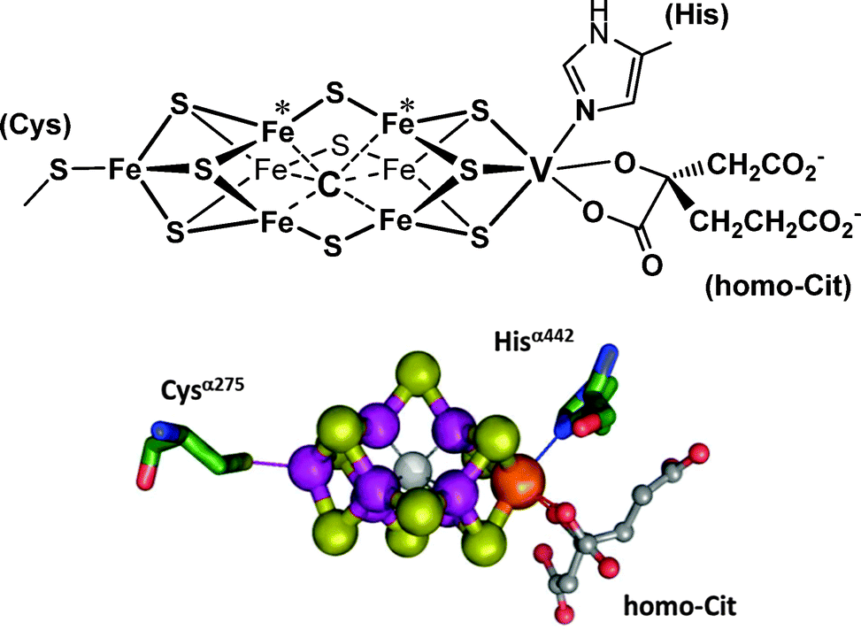 The Role Of Vanadium In Biology - Metallomics (RSC Publishing) DOI:10. ...