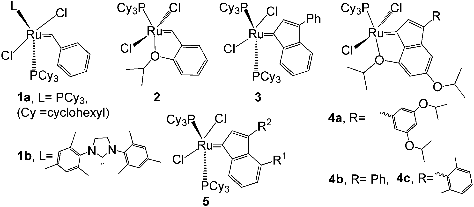 Ruthenium olefin metathesis catalyst