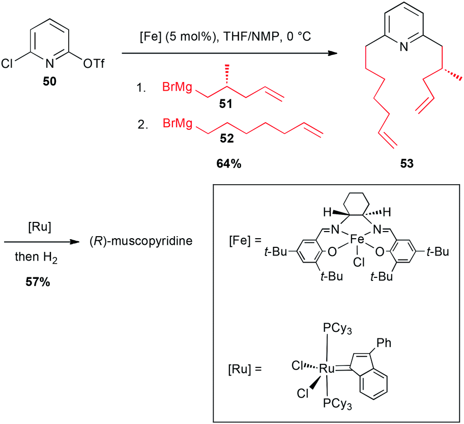 grignard metathesis mechanism Transition-metal-mediated polymerization reactions general mechanism of atom transfer radical this process is known as grignard metathesis. grignard metathesis mechanism Transition-metal-mediated polymerization reactions general mechanism of atom transfer radical this process is known as grignard metathesis.