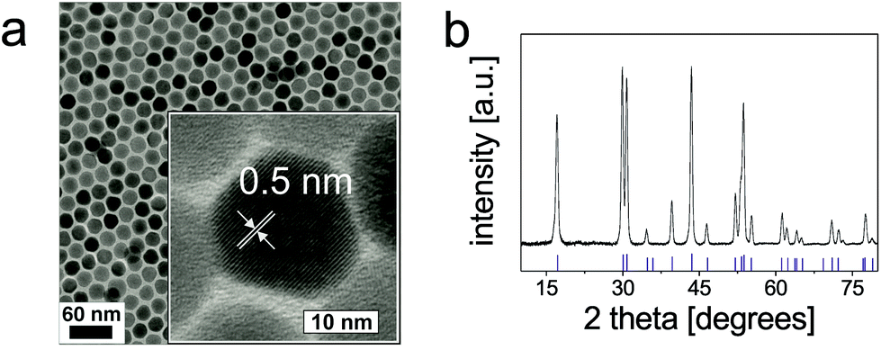 upconversion nanoparticles synthesis surface modification and Multifunctional upconversion-magnetic hybrid nanostructured materials: nanostructured materials: synthesis surface modification of nanoparticles. upconversion nanoparticles synthesis surface modification and Multifunctional upconversion-magnetic hybrid nanostructured materials: nanostructured materials: synthesis surface modification of nanoparticles.