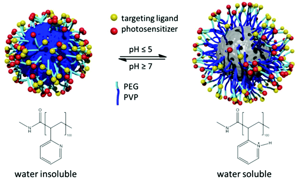 concept of targeted drug delivery system pdf
