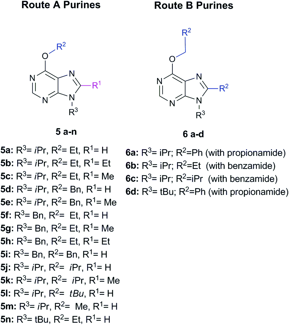 synthesis of 6,8,9 poly-substituted purine analo