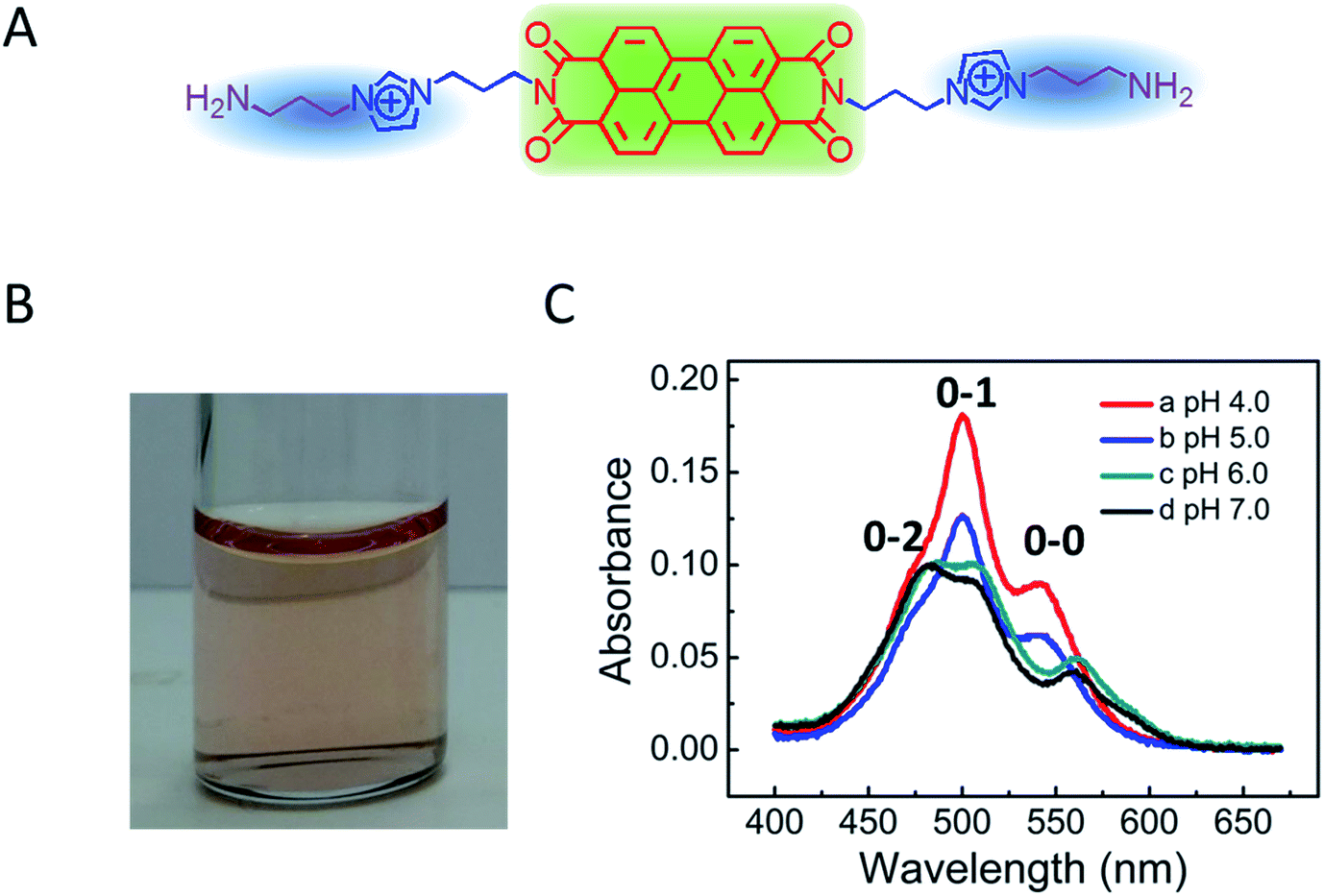 ph-responding-reversible-supramolecular-self-assembly-of-water-soluble