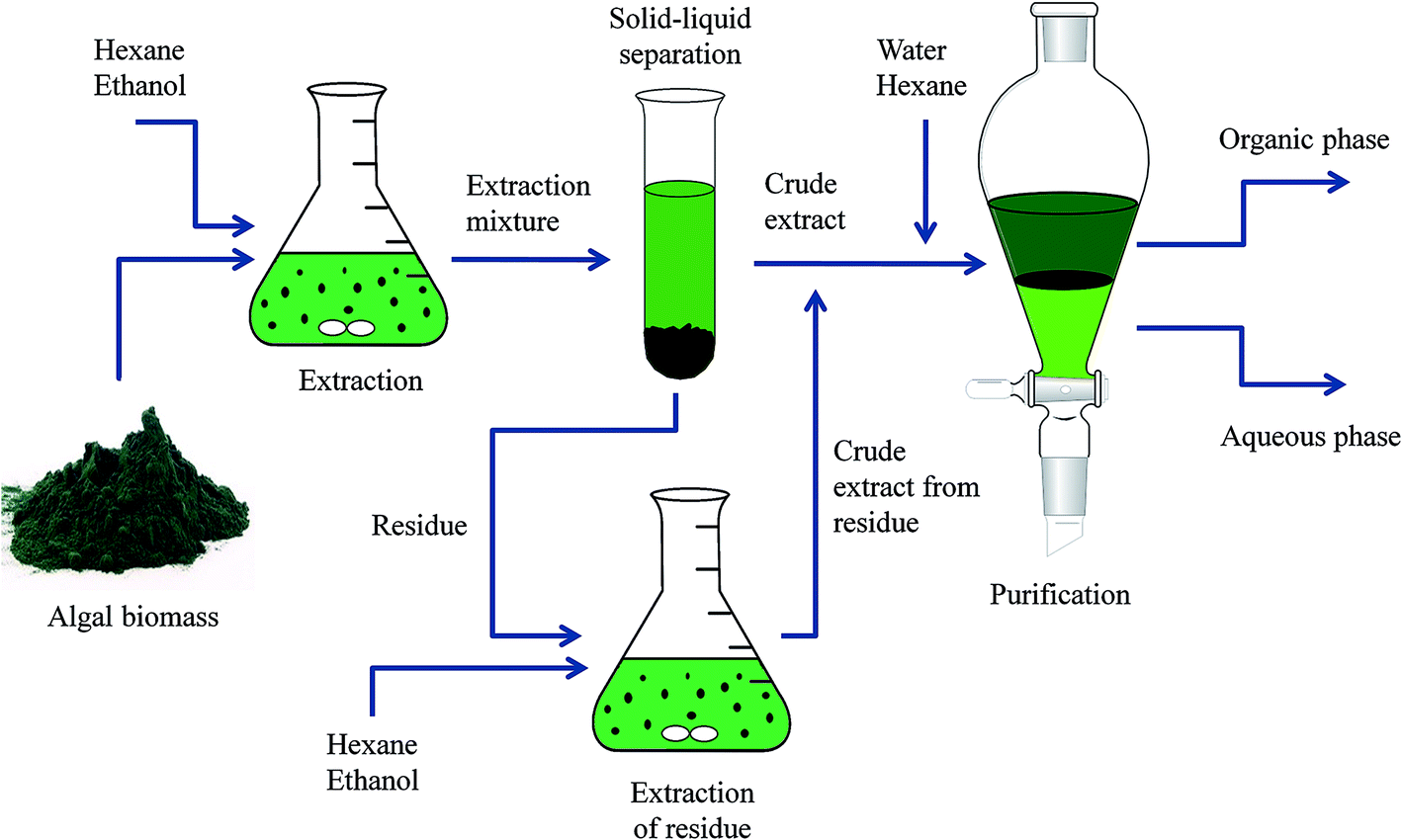 extraction of seaweed 10 title extraction of phenol and flavanoid compound of the edible brown seaweed species (eucheuma cottonii) 20 introduction 21 an overview of seaweed. extraction of seaweed 10 title extraction of phenol and flavanoid compound of the edible brown seaweed species (eucheuma cottonii) 20 introduction 21 an overview of seaweed.
