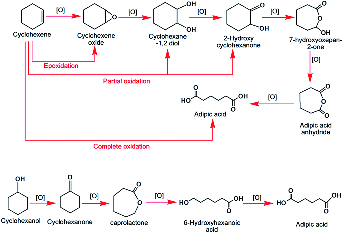 Oxidation of cyclohexanone to adipic acid essay
