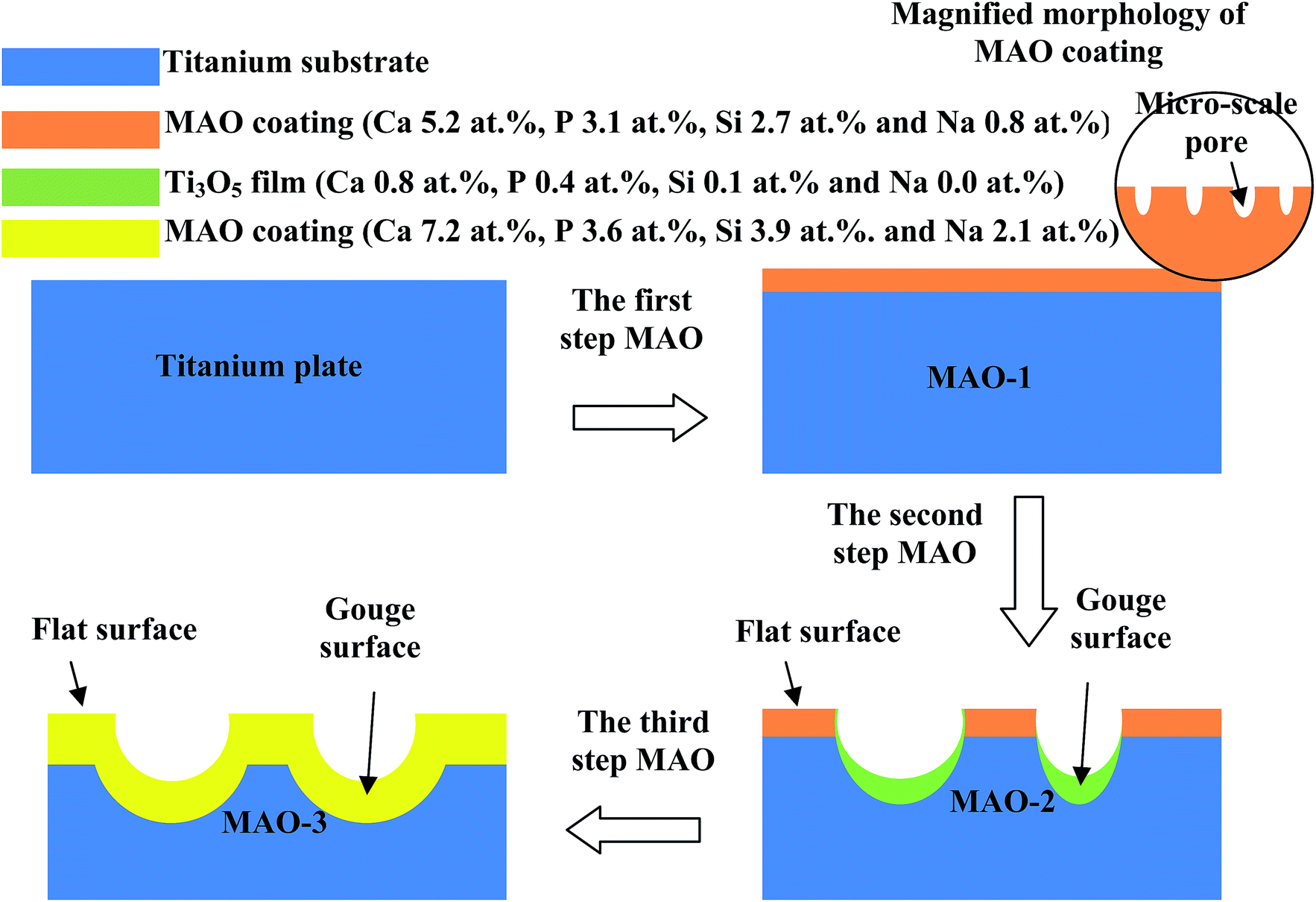 Conformal coating containing Ca, P, Si and Na with doublelevel porous surface structure on