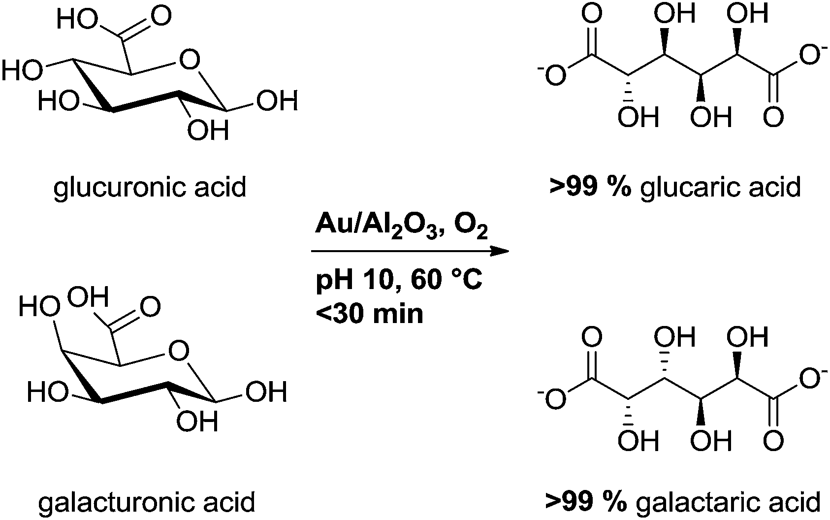 acids,acid selective oxidation of uronic acids into aldaric acids over gold