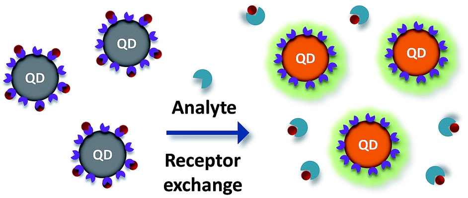 recent progress in quantum dot based sensors