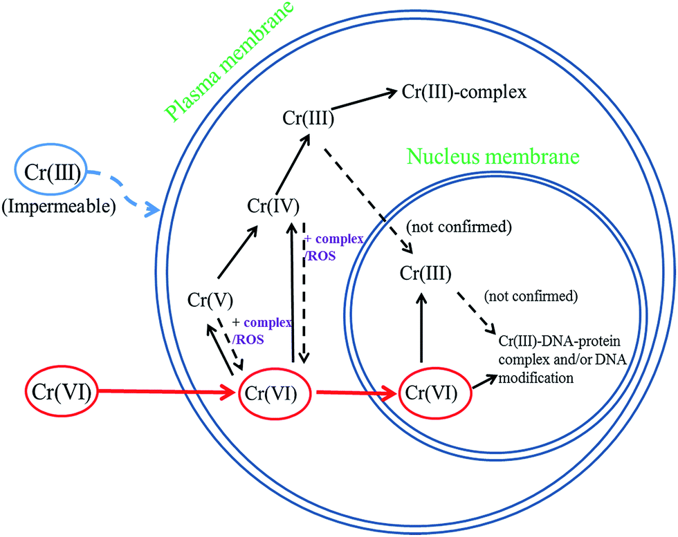 Recent advances in electrochemical detection of toxic Cr( vi ) RSC
