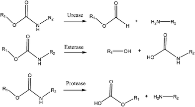 read strahlen und photochemisch initiierte konfigurationsisomerisierung höhermolekularer monoolefine mit metallalkylen der iii und iv hauptgruppe