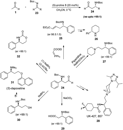 Mannich reaction thesis 08 image