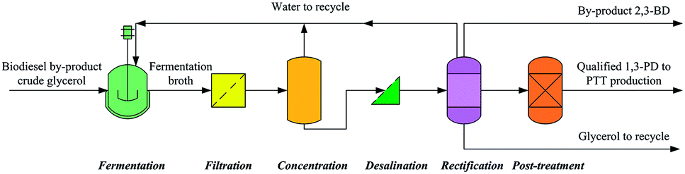 purification of 1 3 pd from complex fermentation broth The fermentation broth (secreted) or the biomass production purification system consistency to phase 1 phase 2 phase 3. purification of 1 3 pd from complex fermentation broth The fermentation broth (secreted) or the biomass production purification system consistency to phase 1 phase 2 phase 3.