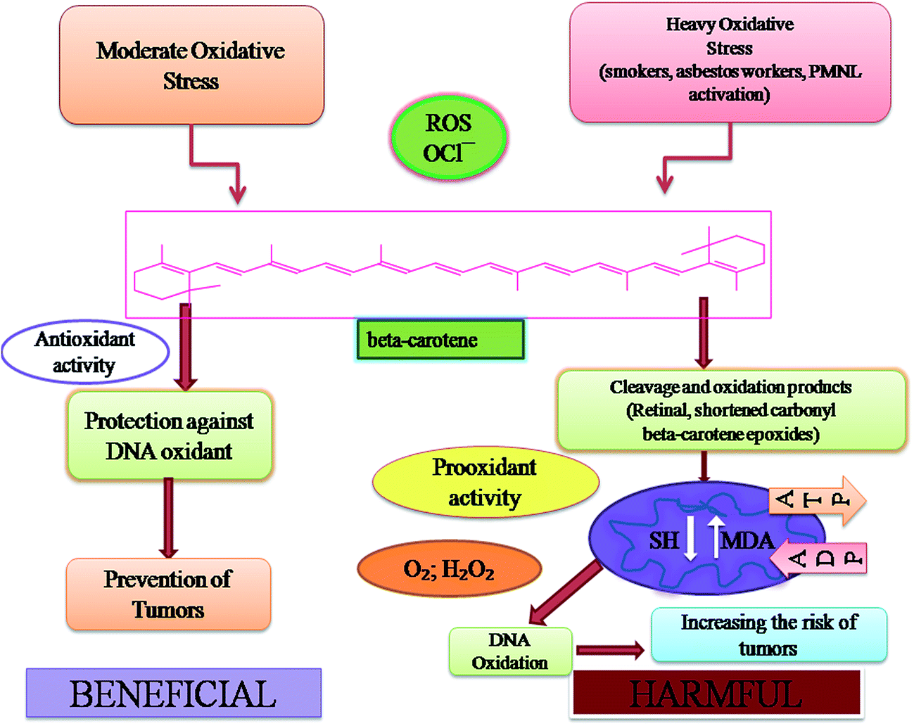 Green extraction methods and environmental applications of carotenoids