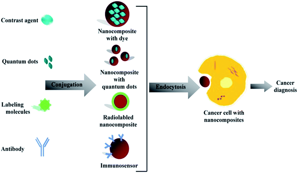 research papers on nanotechnology in cancer treatment This form of cancer treatment is known as magnetic nanoparticle hyperthermia, and it’s not new a paper battery powered by bacteria more nanotechnology . research papers on nanotechnology in cancer treatment This form of cancer treatment is known as magnetic nanoparticle hyperthermia, and it’s not new a paper battery powered by bacteria more nanotechnology .