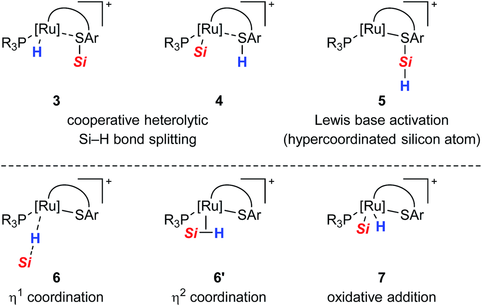 Mechanism Of The Cooperative Sih Bond Activation At Rus Bonds