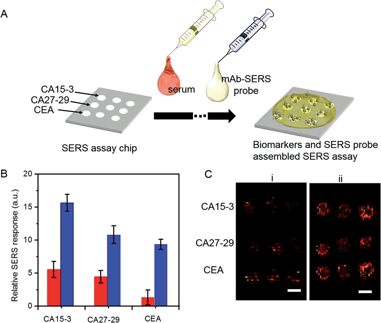 vigorously analyze, multiplexed detection of serological cancer markers