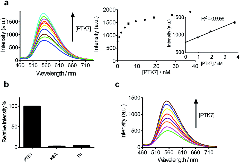Luminescence switchon detection of protein tyrosine kinase7 using a G