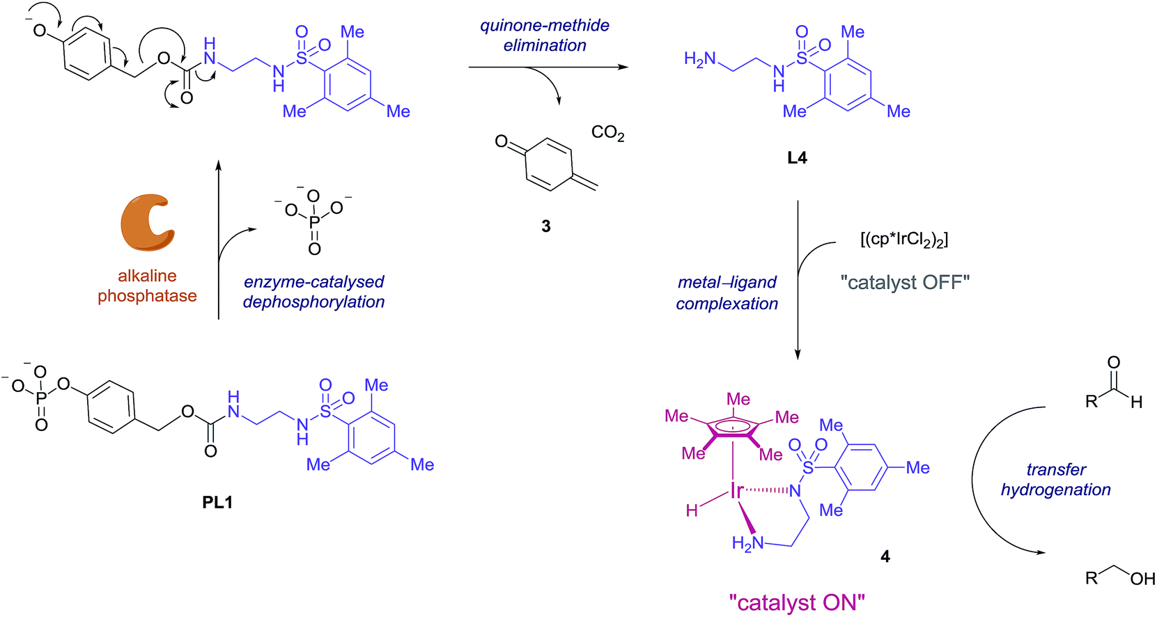 transduction,veles,(第8页)_大山谷图库