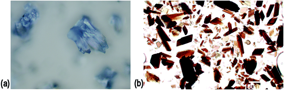 ebook redox state as a central regulator of plant cell stress