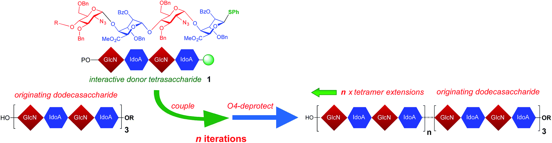 a chemical synthesis of heparin-related [4] n oligosaccharides