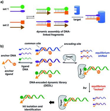 Design, Preparation, And Selection Of DNA-encoded Dynamic Libraries ...