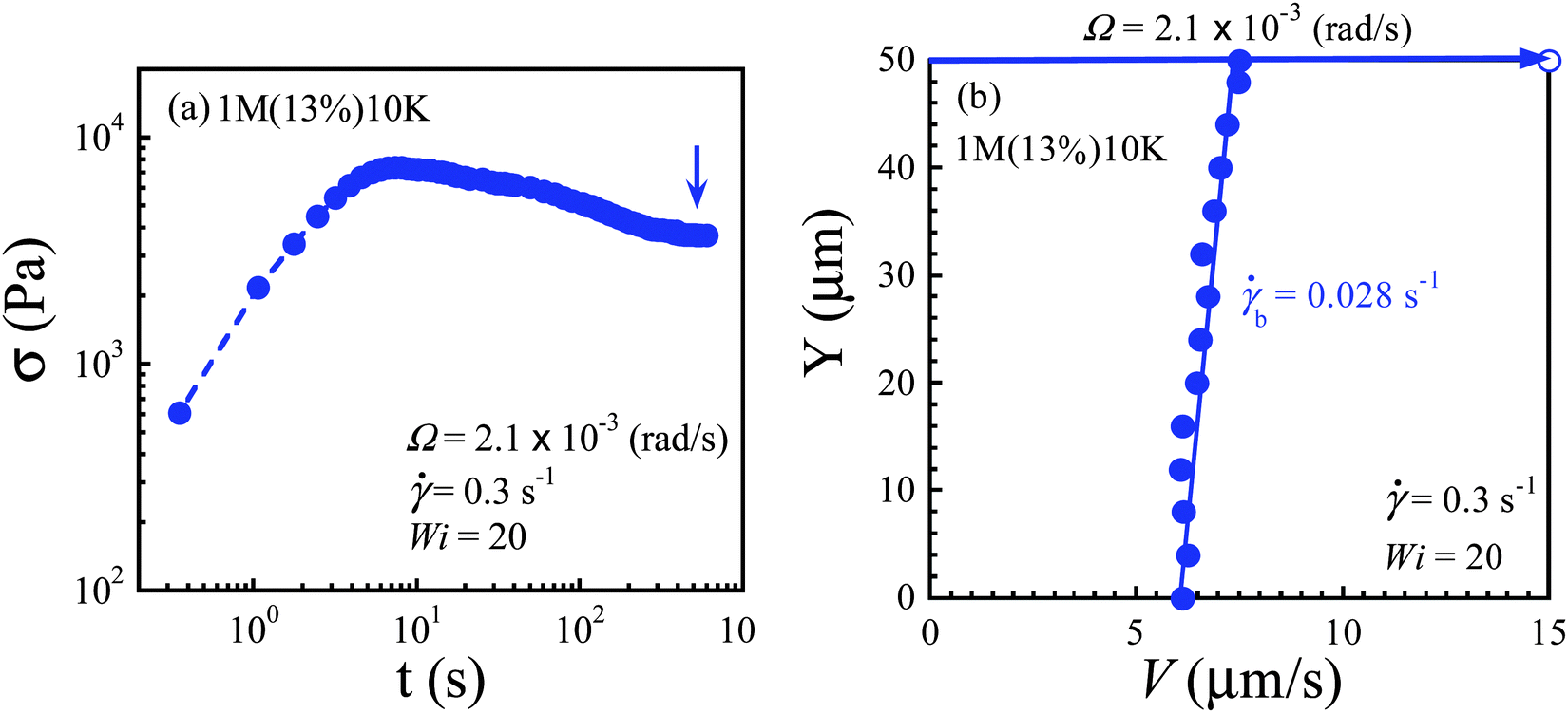 Shear banding in entangled polymers in the micron scale gap a confocal