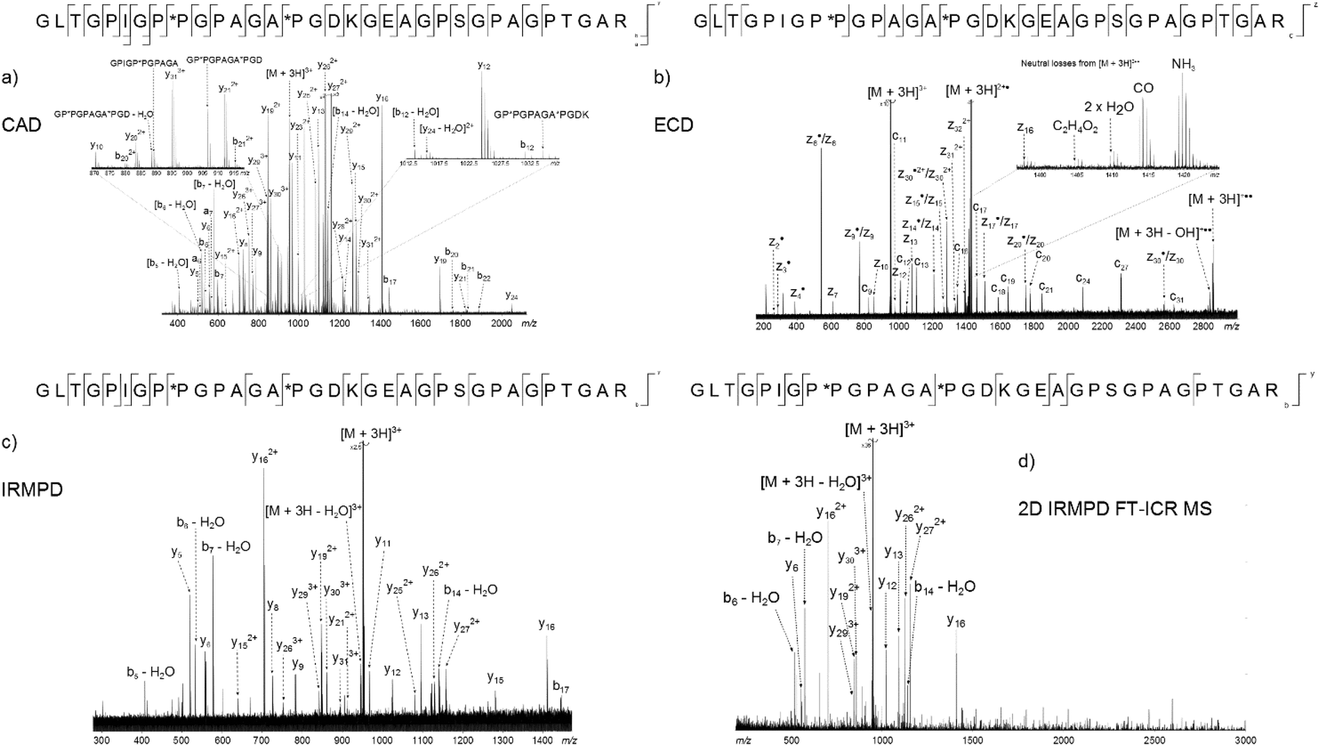 Uncoiling collagen a multidimensional mass spectrometry study