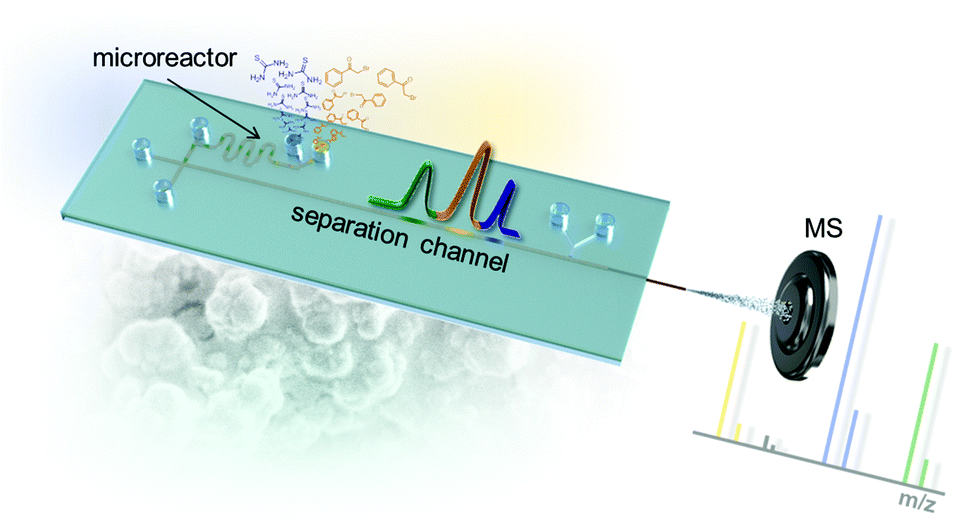 Integrated onchip mass spectrometry reaction monitoring in