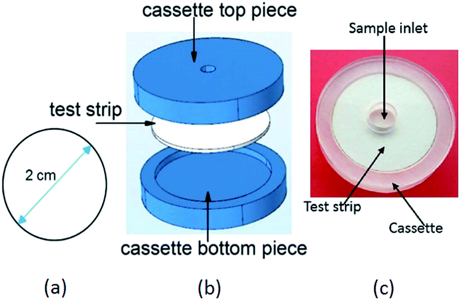 the quantitative determination of an acid Quantitative determination of phospholipids the estimation of the total amount of phospholipids in a tissue extract estimation of phospholipids from fatty acid. the quantitative determination of an acid Quantitative determination of phospholipids the estimation of the total amount of phospholipids in a tissue extract estimation of phospholipids from fatty acid.