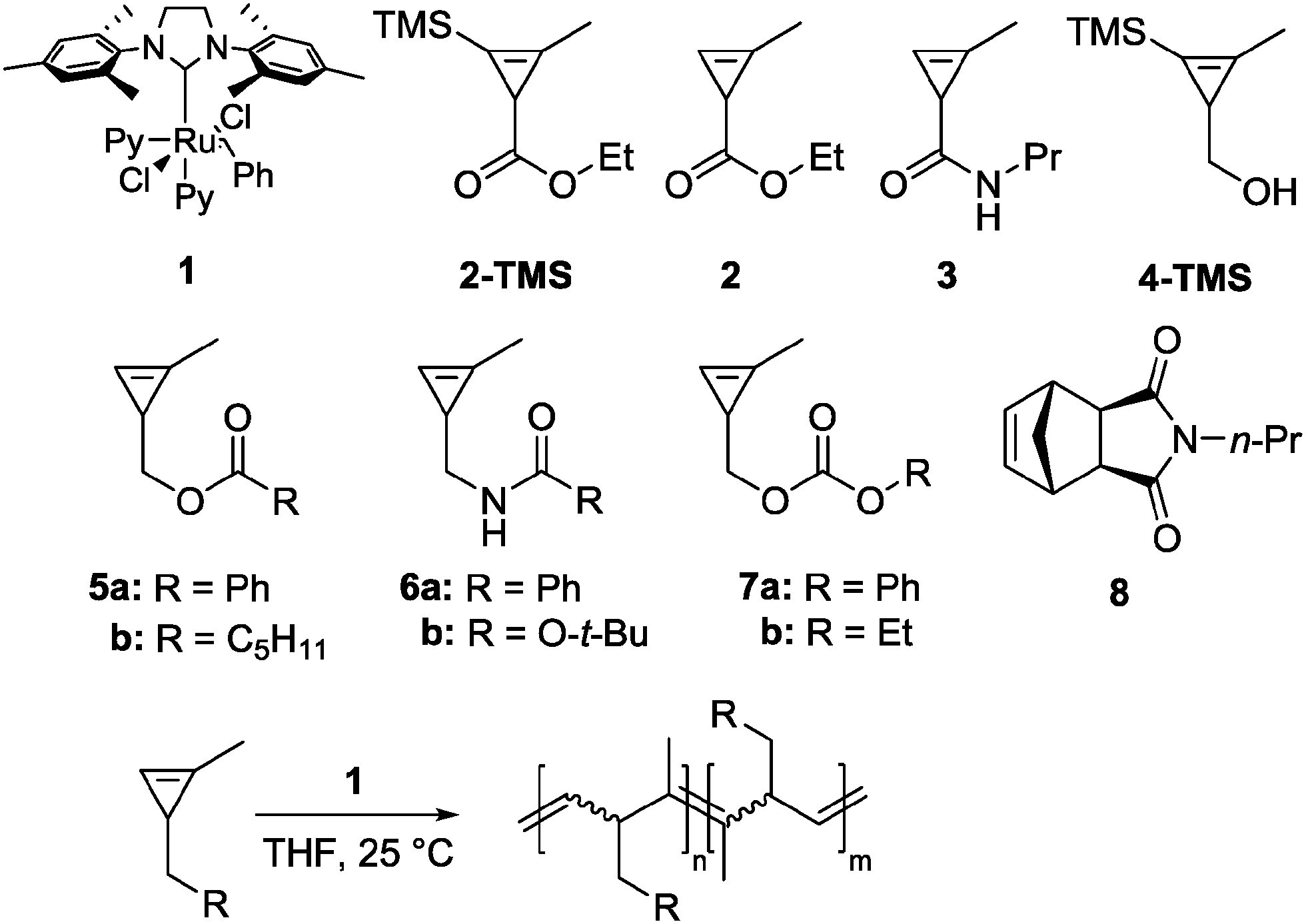 Living ring opening metathesis polymerization