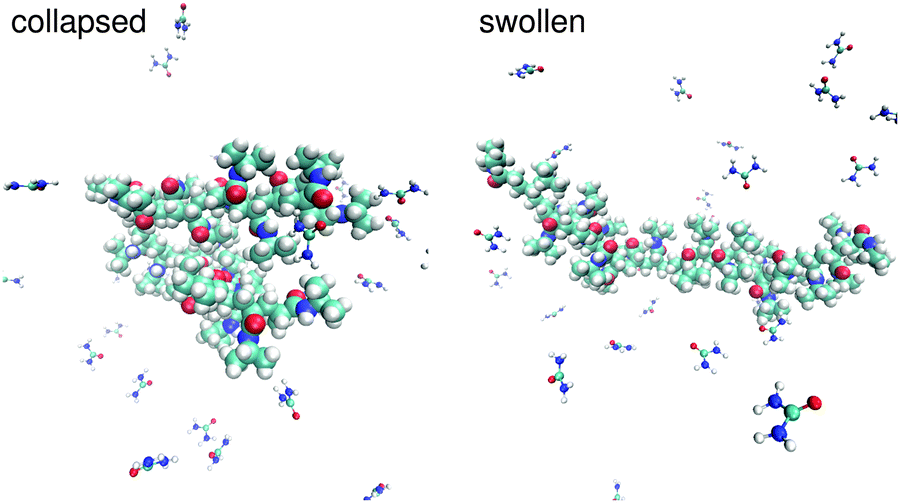 8 nm whereas the right side shows a swollen configuration with a