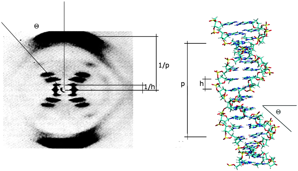 The importance of hydration and DNA conformation in interpreting