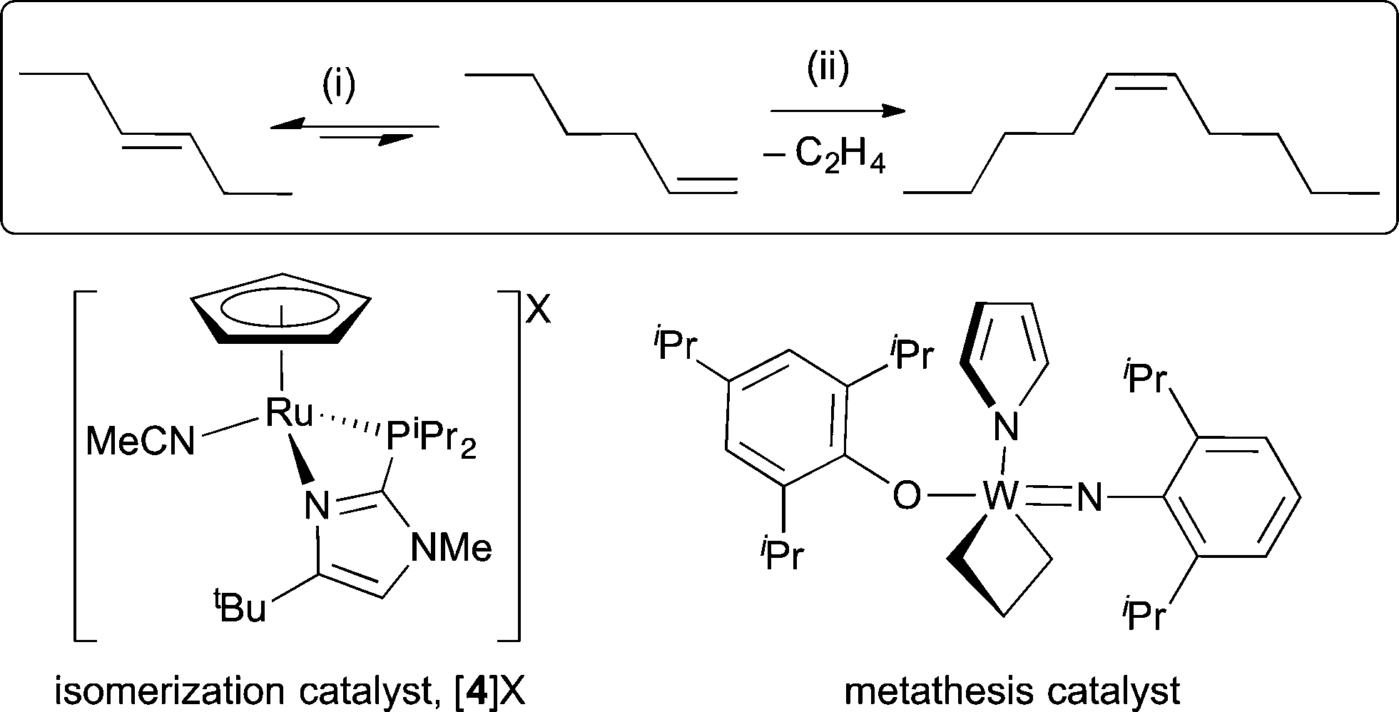 Metathesis tetrahydrofuran 08 image