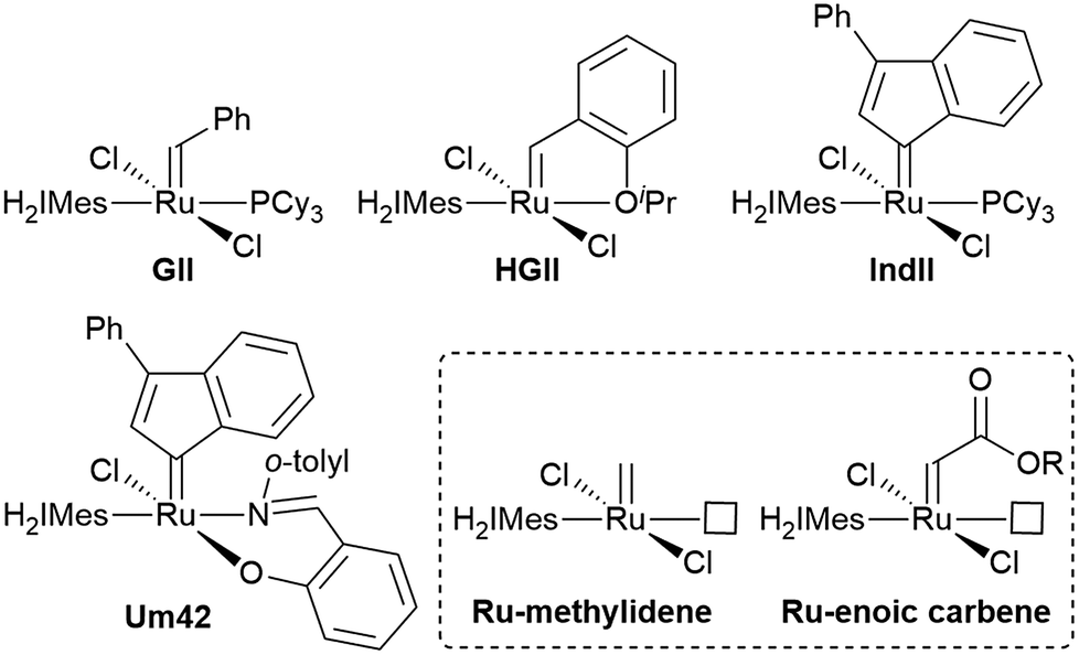 olefin metathesis catalytic cycle olefin metathesis catalytic cycle