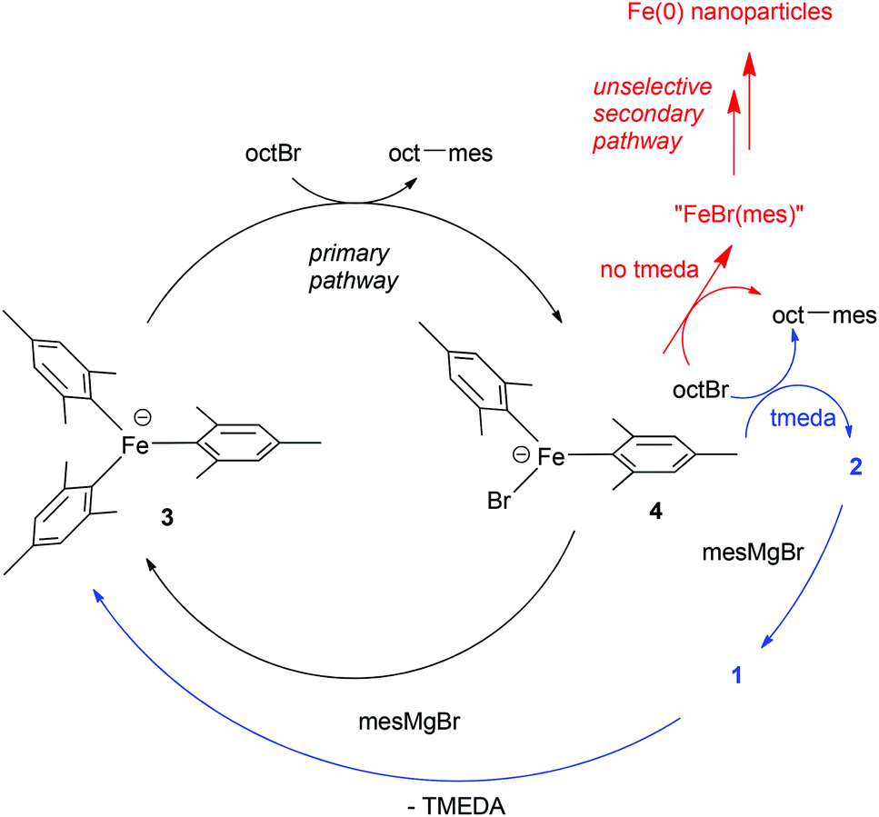 chelate, the influence of the ligand chelate effect on iron-amine