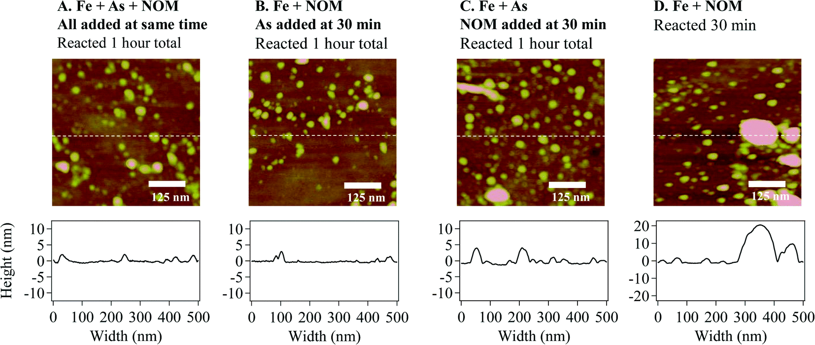 fractal aggregation and disaggregation of newly formed iron