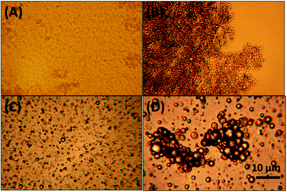 Foodgrade Pickering emulsions stabilised with solid lipid particles