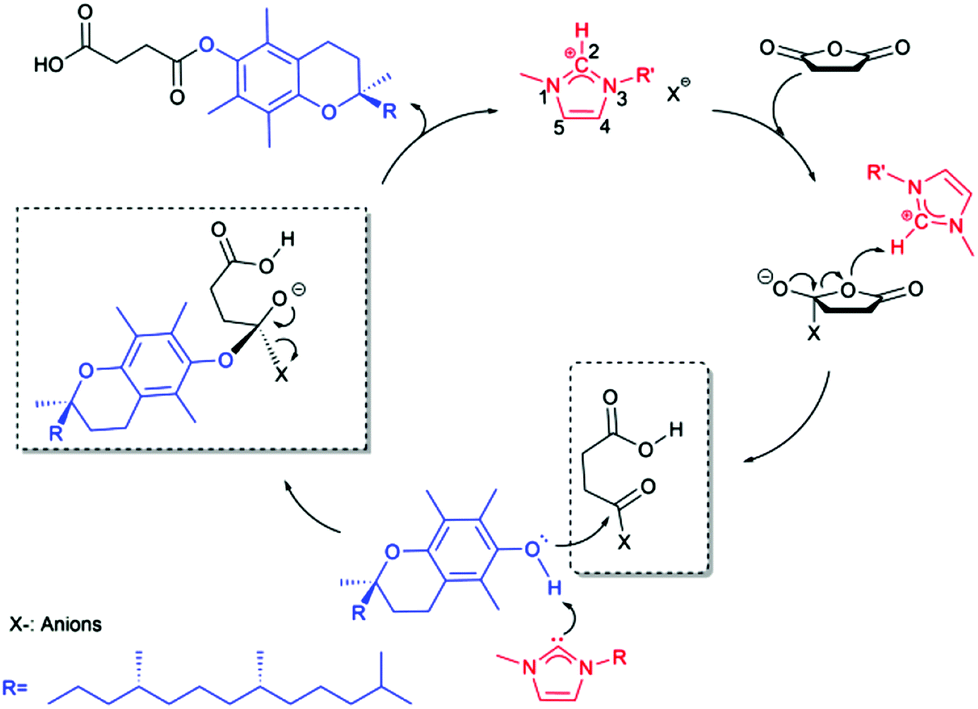 synthesis of esters Molecules 2008, 13, 1111-1119 doi: 103390/molecules13051111 molecules issn 1420-3049 wwwmdpiorg/molecules communication a convenient synthesis of amino acid methyl esters. synthesis of esters Molecules 2008, 13, 1111-1119 doi: 103390/molecules13051111 molecules issn 1420-3049 wwwmdpiorg/molecules communication a convenient synthesis of amino acid methyl esters.