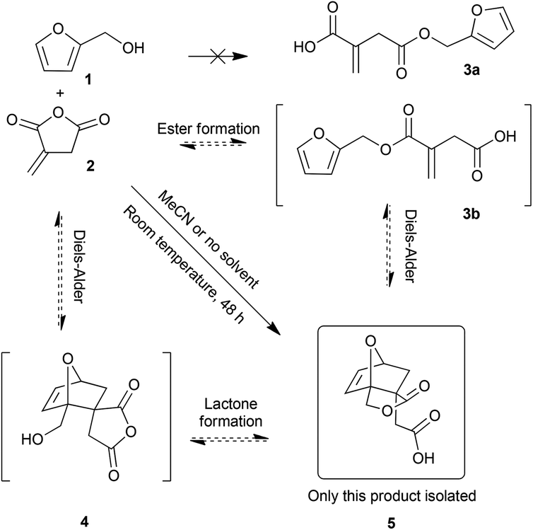Methathesis polymerization