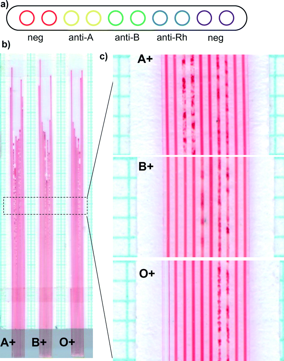 Lab on a stick multianalyte cellular assays in a microfluidic
