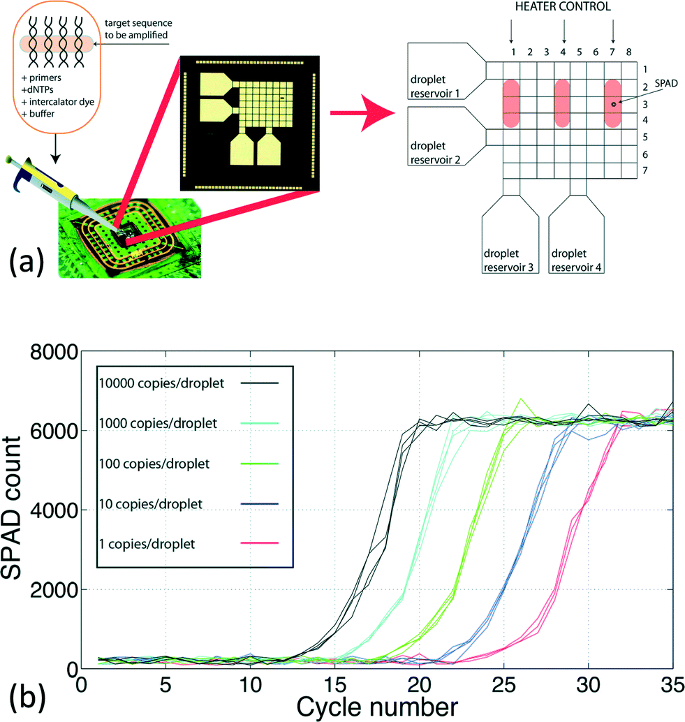 CMOS biosensors for in vitro diagnosis transducing mechanisms and