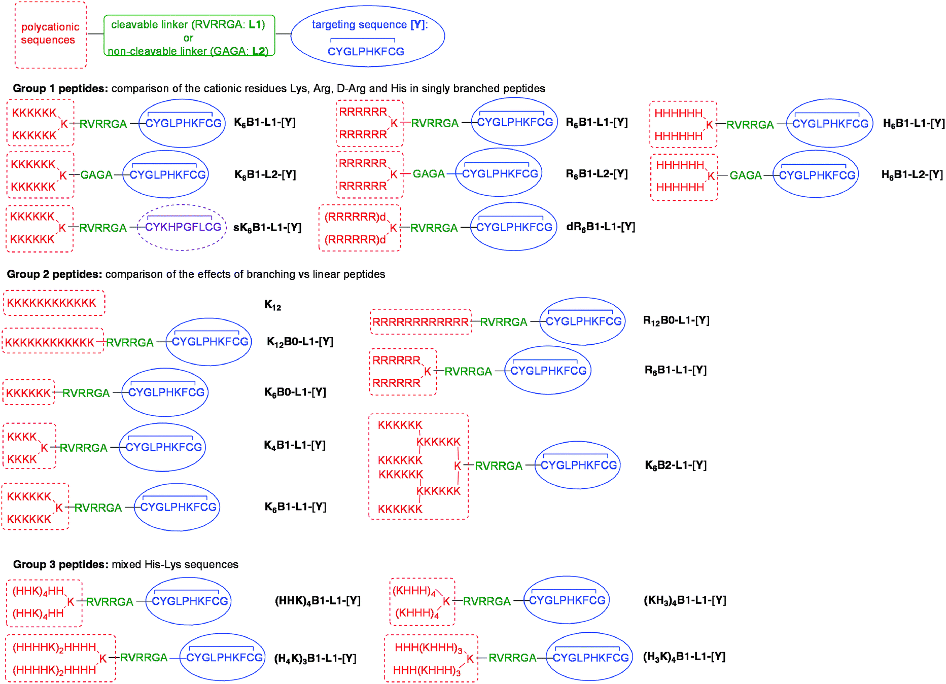Delivery of siRNA using ternary complexes containing branched cationic