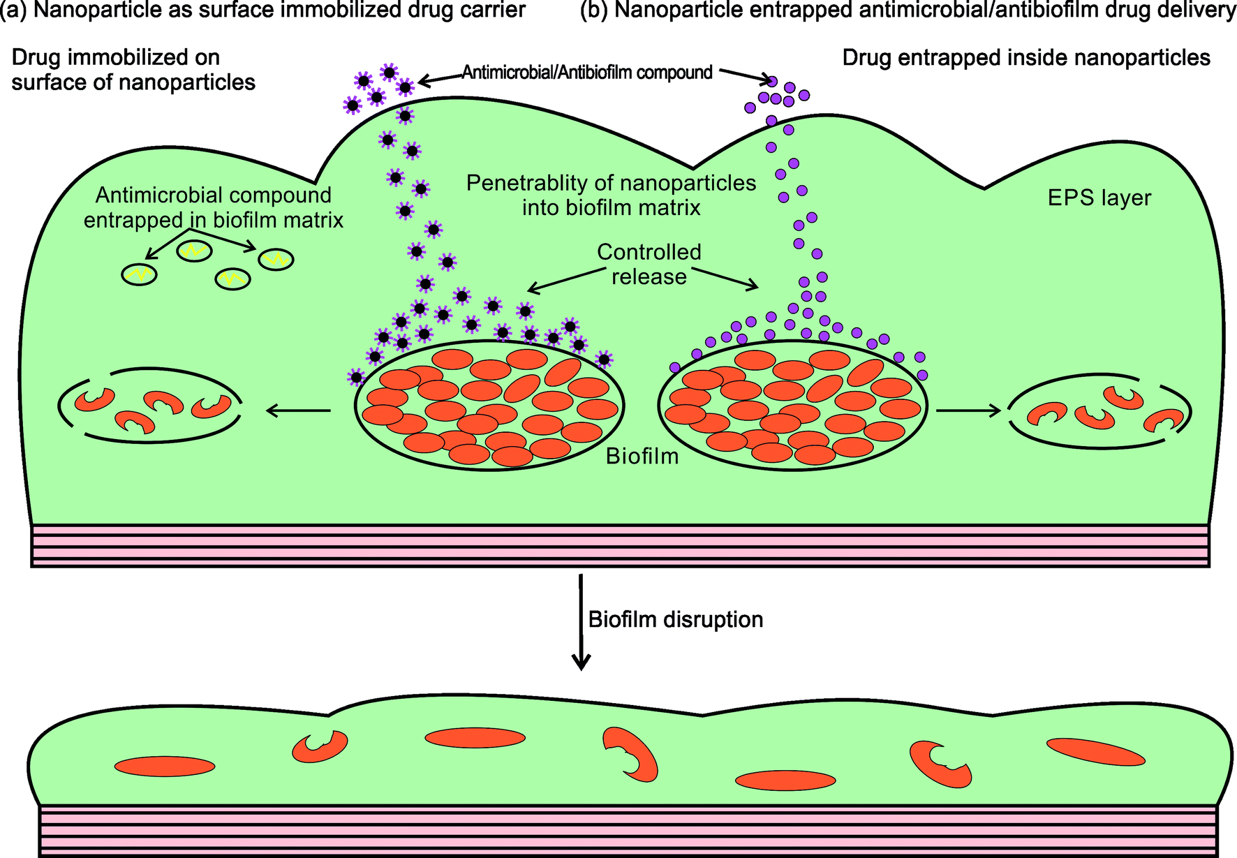 Biofilm research projects image