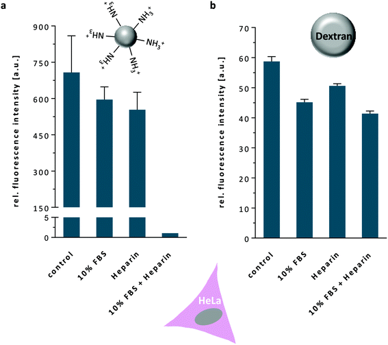 protein source and choice of anticoagulant decisively affect