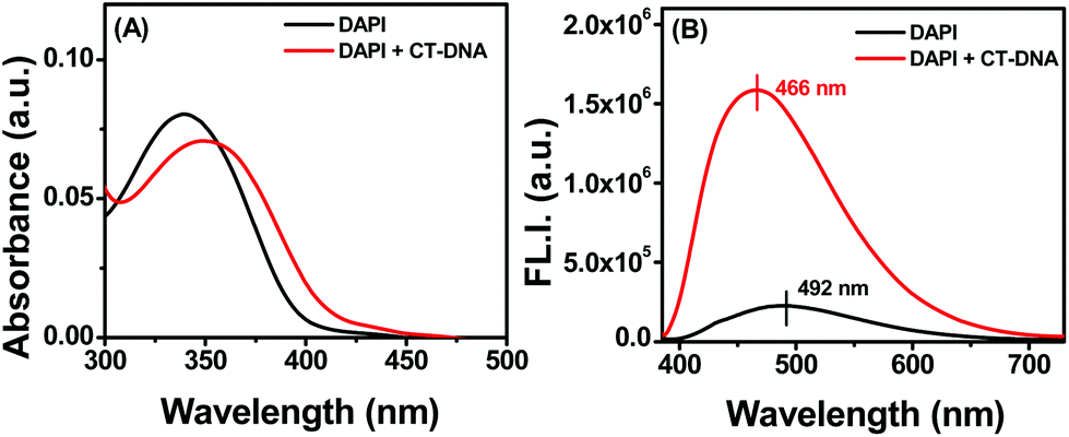 dapi excitation