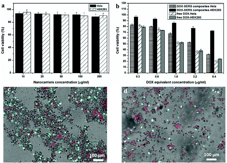 smart surface-enhanced raman scattering traceable drug delivery